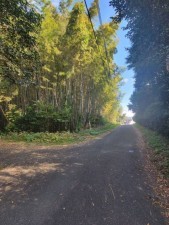 熊本市北区植木町、土地の画像です