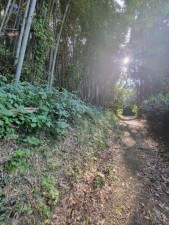 熊本市北区植木町、土地の画像です