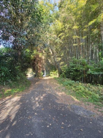 熊本市北区植木町、土地の画像です