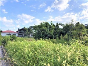 熊本市南区内田町、土地の画像です