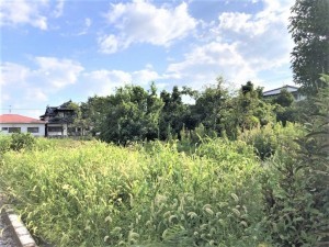 熊本市南区内田町、土地の画像です