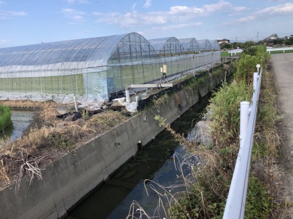 熊本市南区内田町、土地の画像です