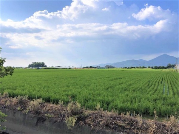 熊本市南区内田町、土地の画像です