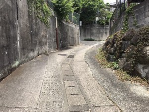 熊本市西区横手、土地の画像です