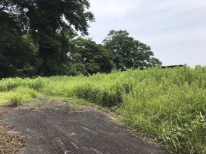 熊本市西区横手、土地の画像です