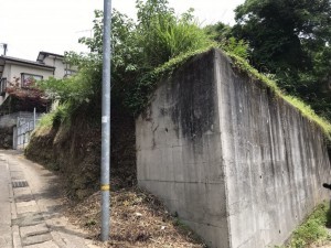 熊本市西区横手、土地の画像です