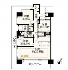 熊本市中央区大江、マンションの間取り画像です