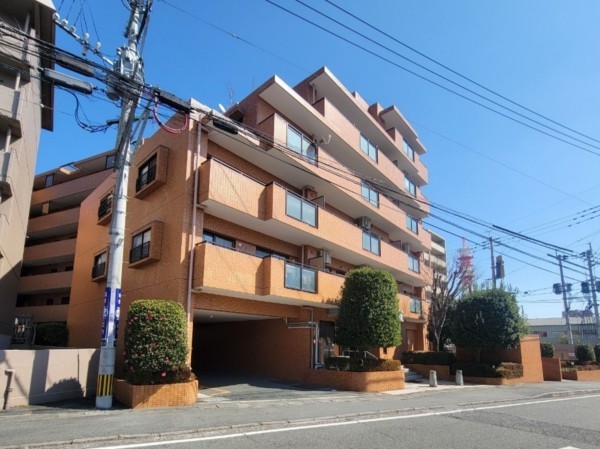 熊本市中央区保田窪、マンションの画像です