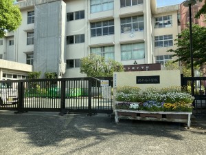 熊本市中央区出水、土地の画像です