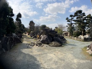 八代市岡町、土地の画像です