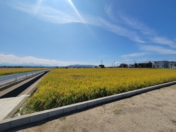 熊本市南区良町、土地の画像です