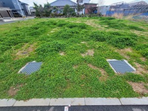 熊本市南区護藤町、土地の画像です