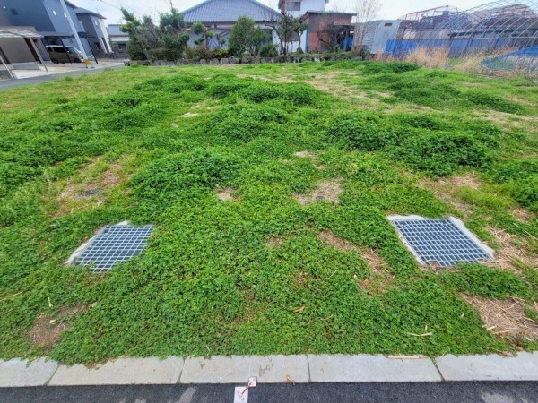 熊本市南区護藤町、土地の画像です