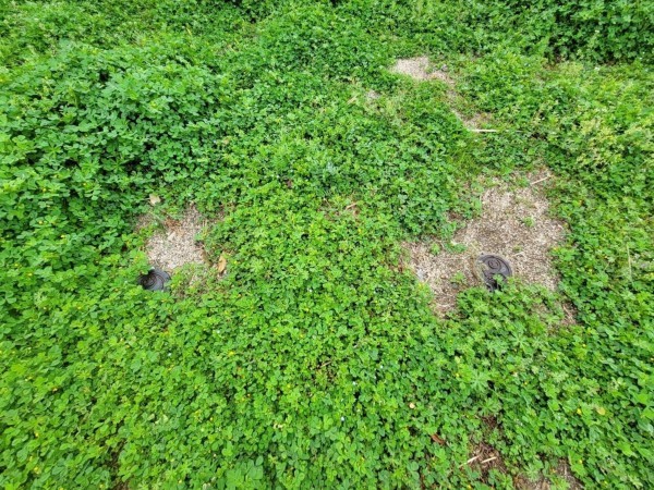 熊本市南区護藤町、土地の画像です