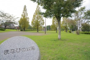 菊池郡菊陽町大字原水、土地の画像です