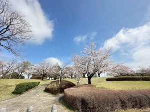 菊池郡菊陽町大字原水、土地の画像です