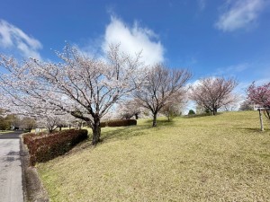 菊池郡菊陽町大字原水、土地の画像です