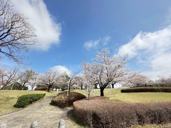 菊池郡菊陽町大字原水、土地の画像です