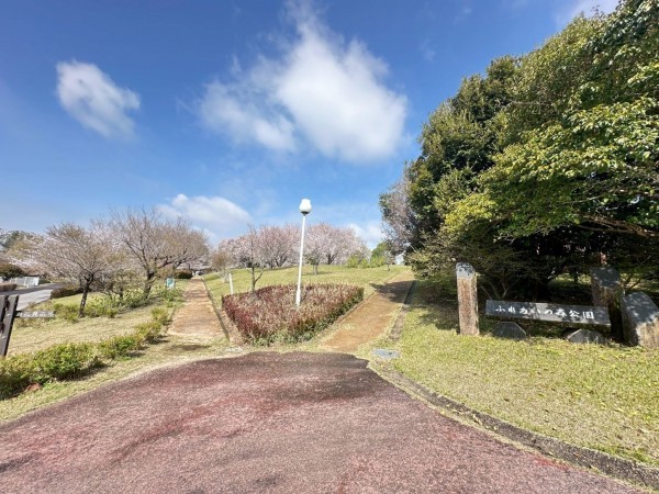 菊池郡菊陽町大字原水、土地の画像です