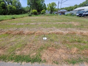 天草市佐伊津町、土地の画像です
