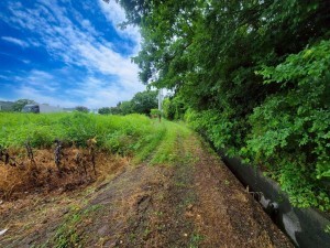 熊本市北区植木町、土地の画像です