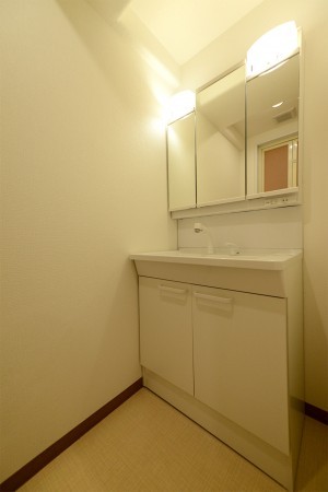 熊本市中央区新大江、マンションの画像です