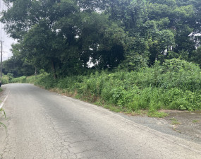 菊池郡大津町大字杉水、土地の画像です