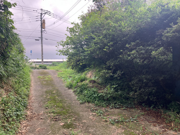 菊池郡大津町大字杉水、土地の画像です