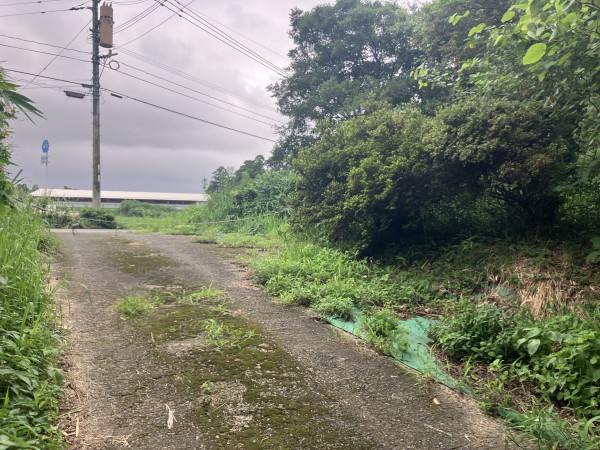 菊池郡大津町大字杉水、土地の画像です