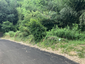 菊池郡菊陽町大字辛川、土地の画像です