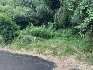 菊池郡菊陽町大字辛川、土地の画像です