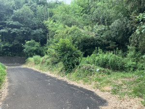 菊池郡菊陽町大字辛川、土地の画像です