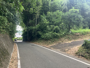 菊池郡菊陽町大字辛川、土地の画像です