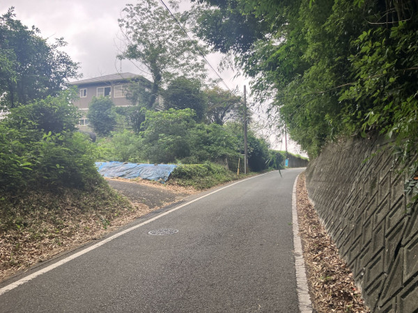 菊池郡菊陽町大字辛川、土地の画像です