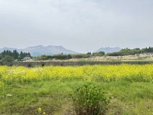 阿蘇郡高森町、中古一戸建ての画像です