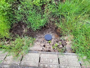 菊池郡菊陽町大字原水、土地の画像です