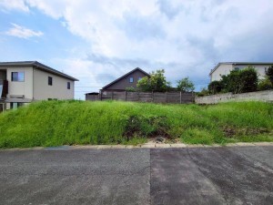 菊池郡菊陽町大字原水、土地の画像です