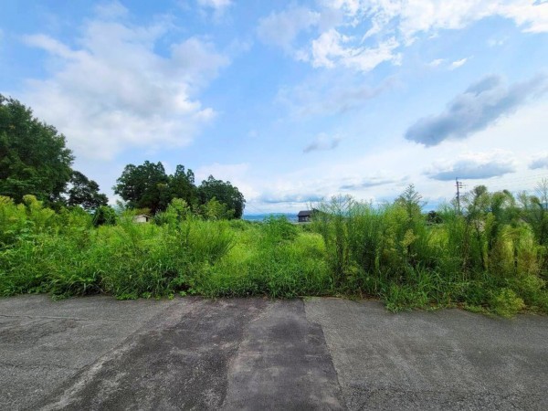 菊池郡菊陽町大字原水、土地の画像です