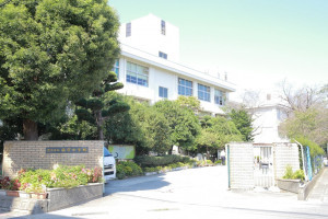 熊本市東区八反田、土地の画像です