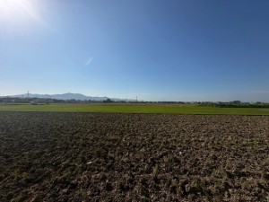 宇土市三拾町、土地の画像です