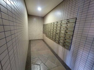 熊本市中央区神水本町、マンションの画像です
