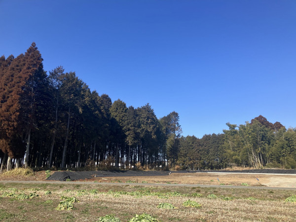 菊池郡大津町大字杉水、土地の画像です