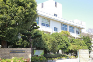 熊本市東区新南部、土地の画像です