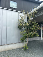 熊本市東区戸島、中古一戸建ての画像です