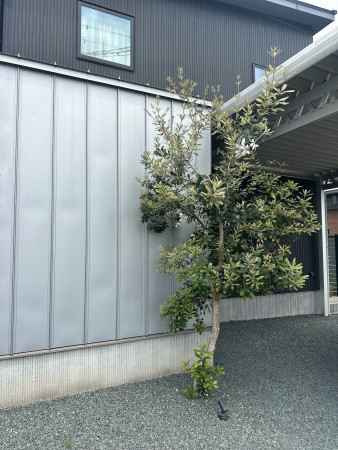 熊本市東区戸島、中古一戸建ての画像です
