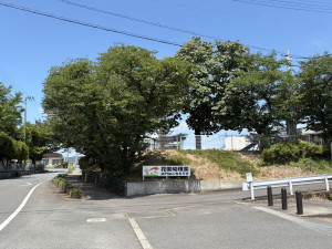 宇土市岩古曽町、土地の画像です