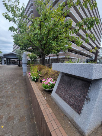 熊本市中央区国府、マンションの画像です