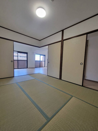 熊本市中央区国府、マンションの画像です