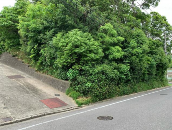 岸和田市岡山町、土地の画像です