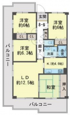 岸和田市下野町、マンションの間取り画像です